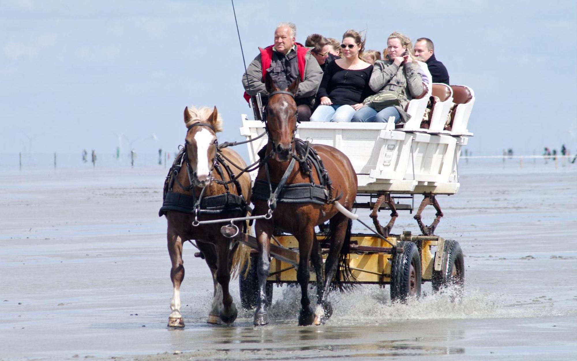 Strandnahe Haus Sonneneck 2 Cuxhaven