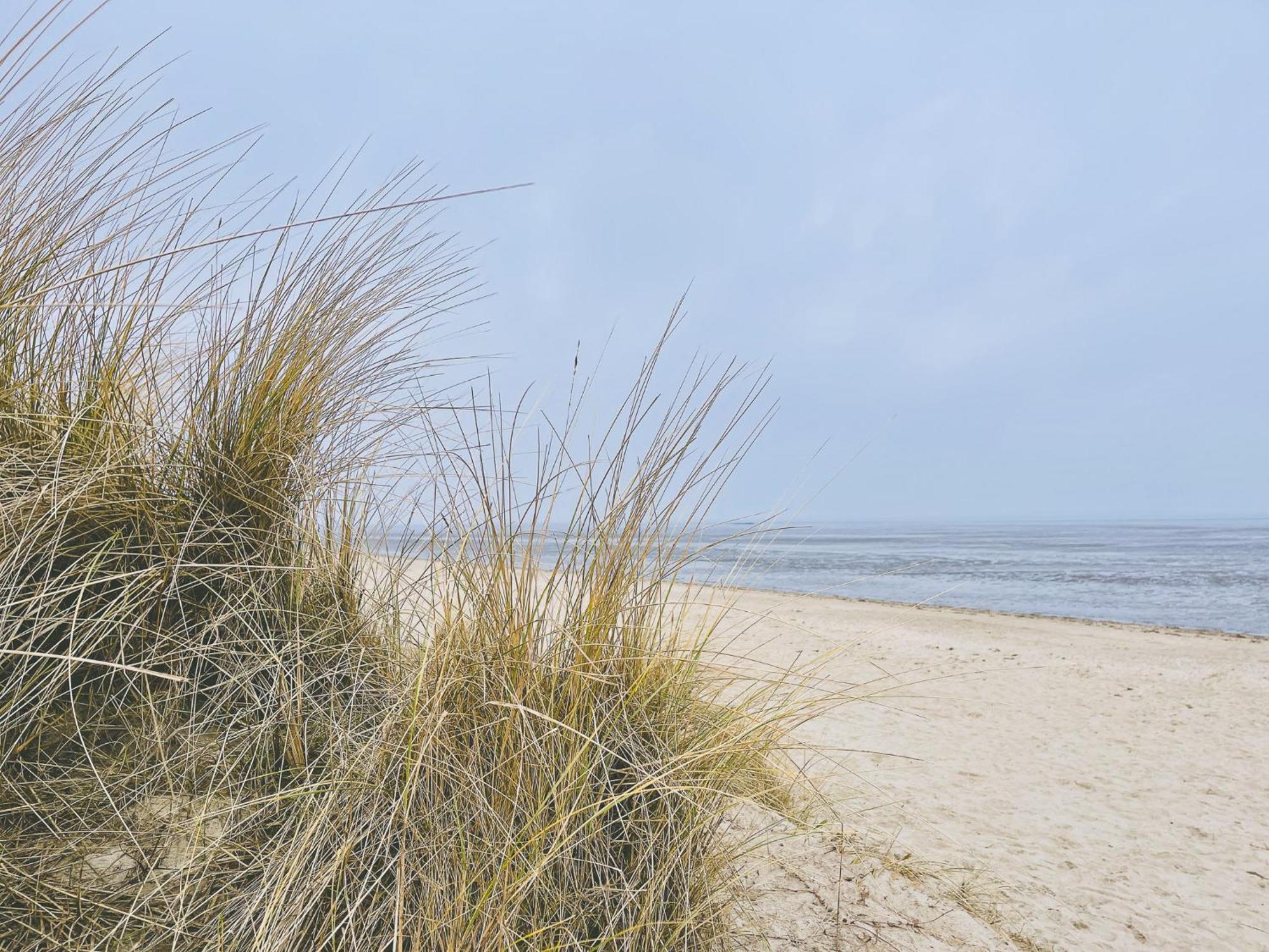 Strandnahe Haus Sonneneck 2